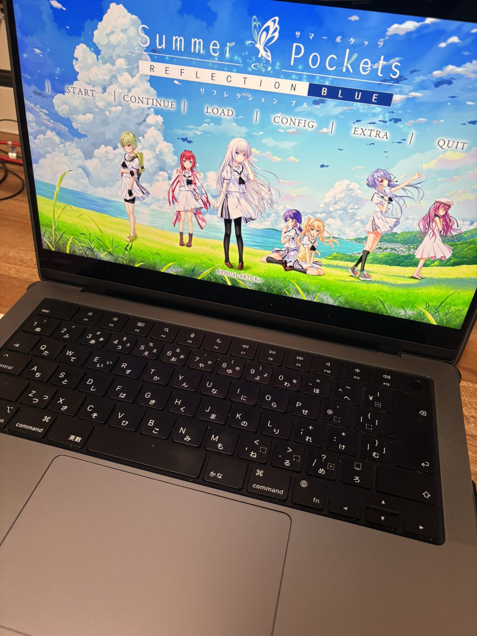 実際に起動している画像です